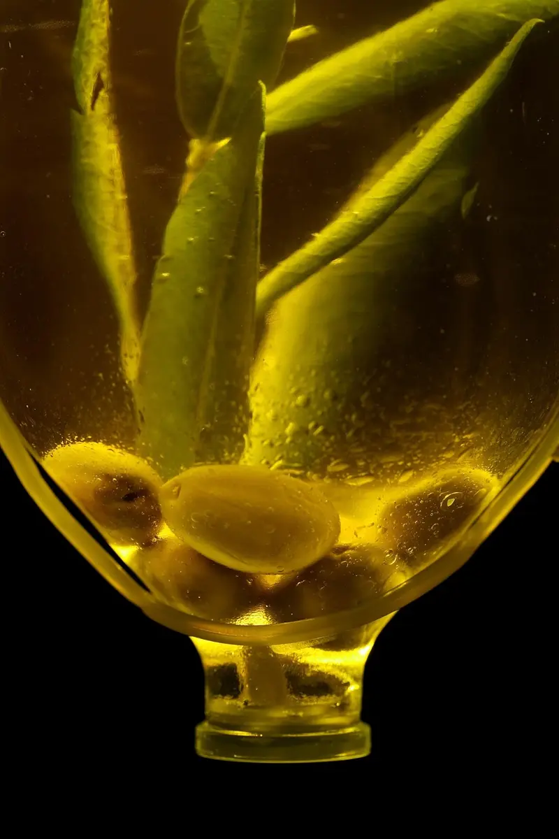 frankincense under eye serum to reduce dark circles and