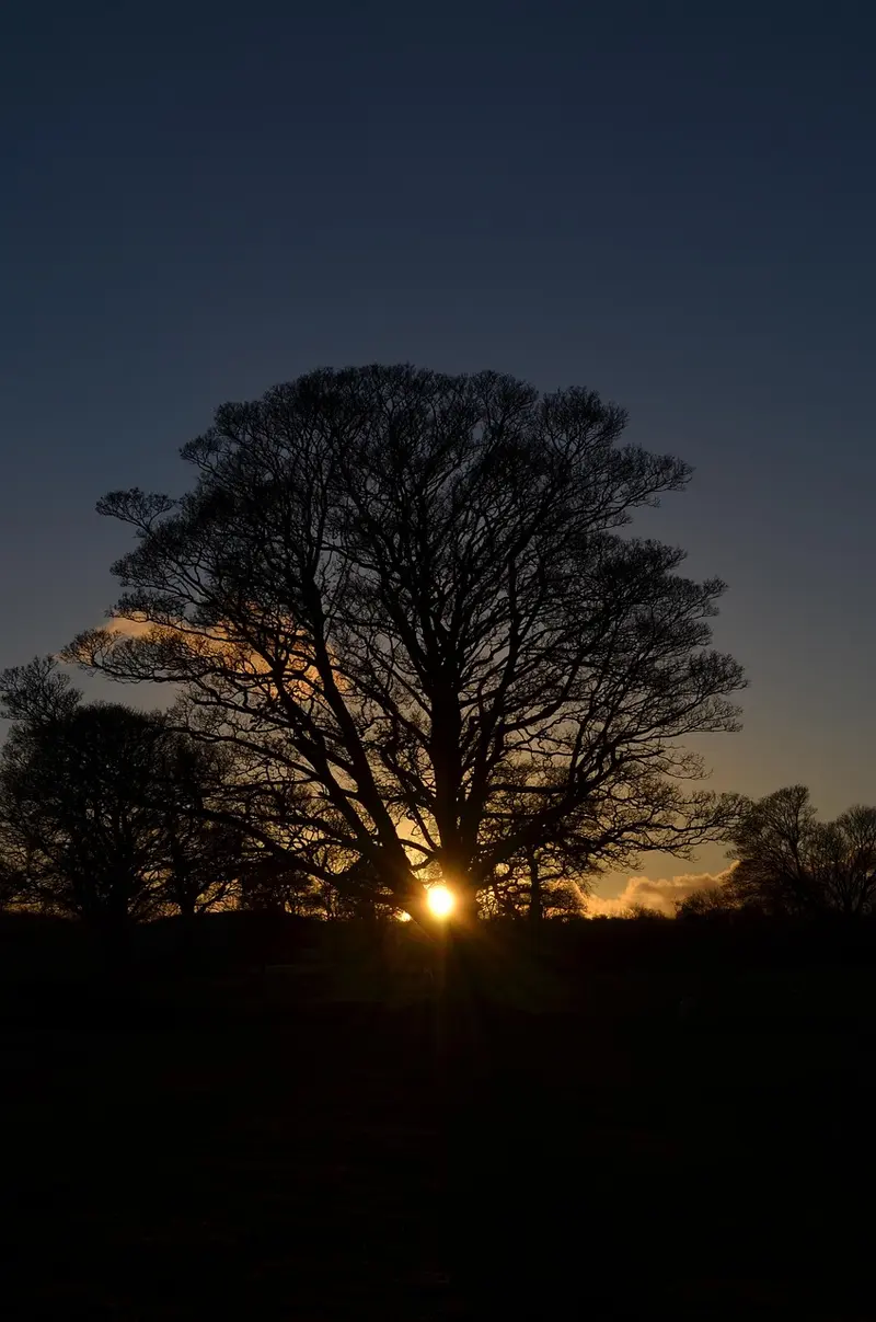 winter solstice frankincense ritual a sacred practice for